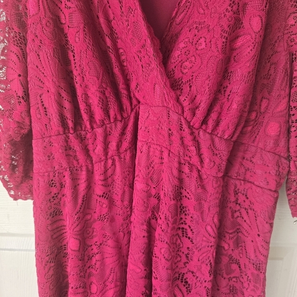 Kiyonna Women's Plus Pinot Noir Mademoiselle Lace Cocktail Dress Size 4X Red - Picture 7 of 15